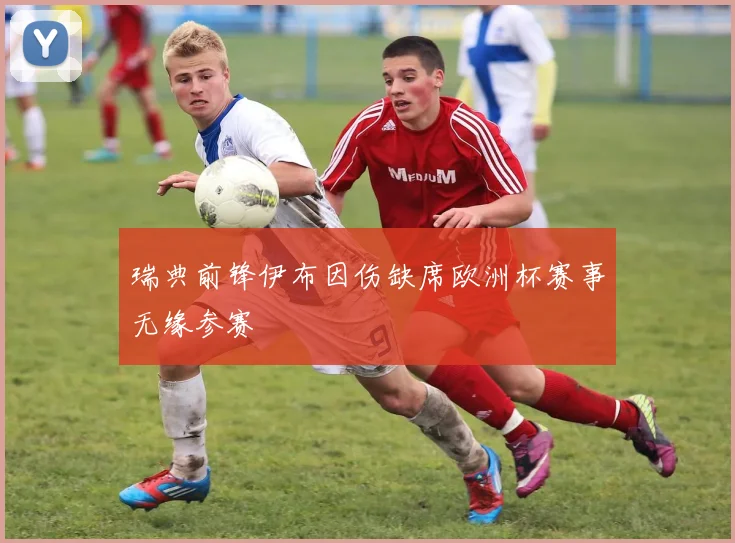 瑞典前锋伊布因伤缺席欧洲杯赛事无缘参赛