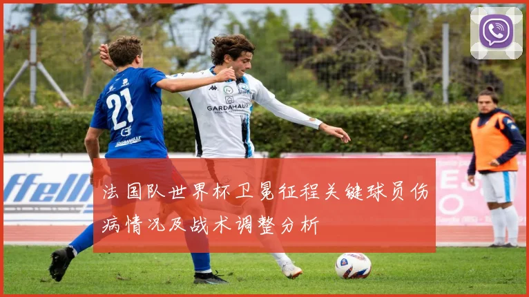 法国队世界杯卫冕征程关键球员伤病情况及战术调整分析