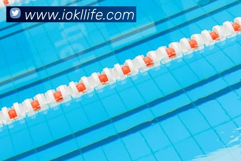 三亿体育APP 封面图